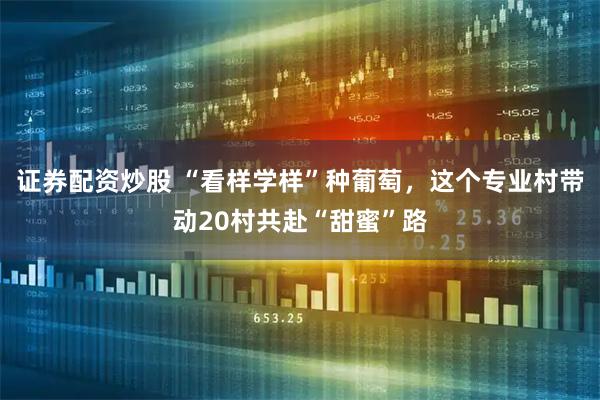 证券配资炒股 “看样学样”种葡萄，这个专业村带动20村共赴“甜蜜”路
